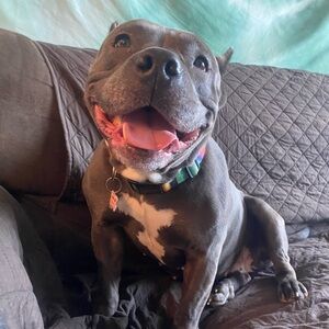 Hi guys!! I have been off this app for a couple weeks now due to personal things